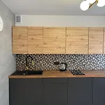 Nad Odra Apartment